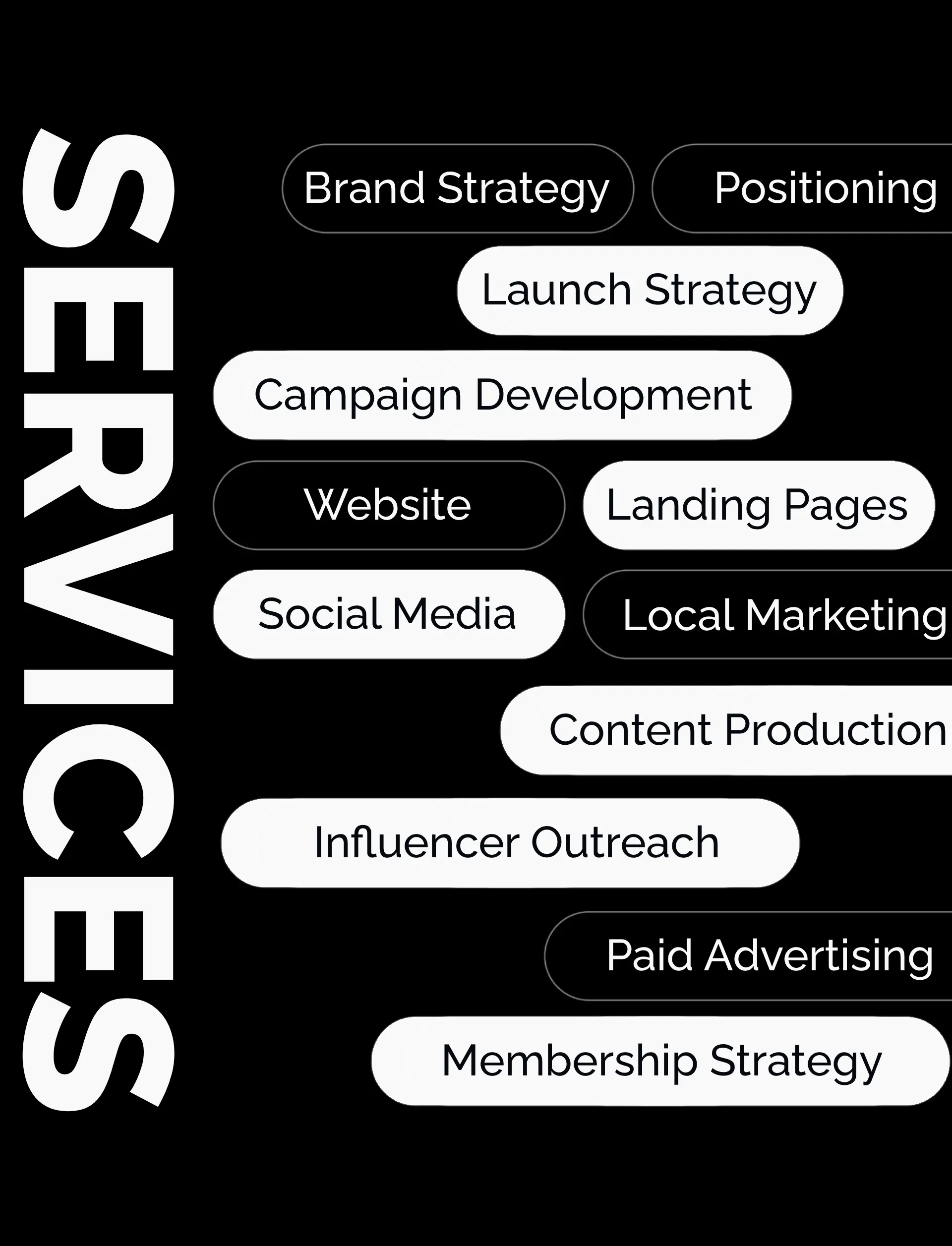 Services delivered for the Arctic Elevation launch, from brand strategy to membership strategy